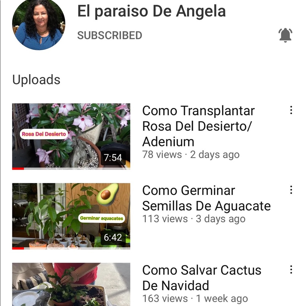 Hello Everyone, Please View And Subscribe! - image 1